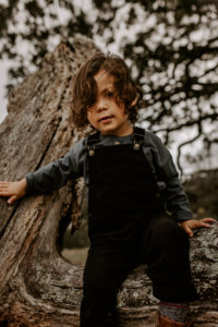 toddler boy with cute curls climbing a tree